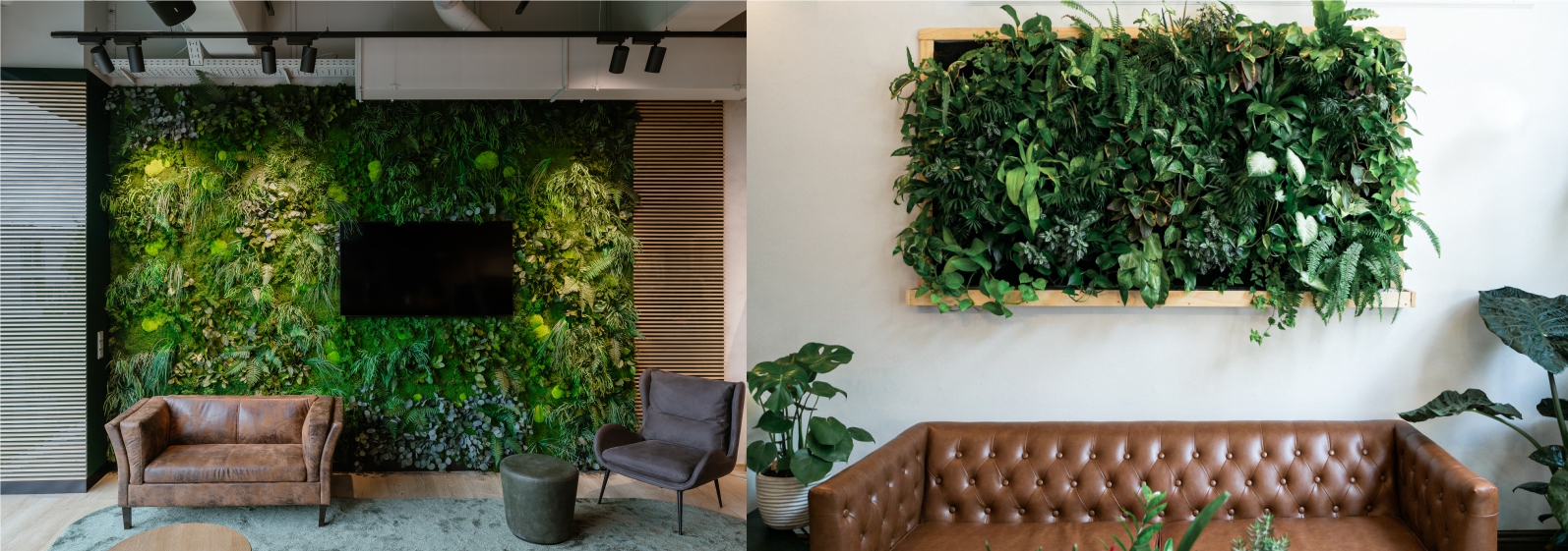 La différence entre un mur végétal et un mur végétal stabilisé