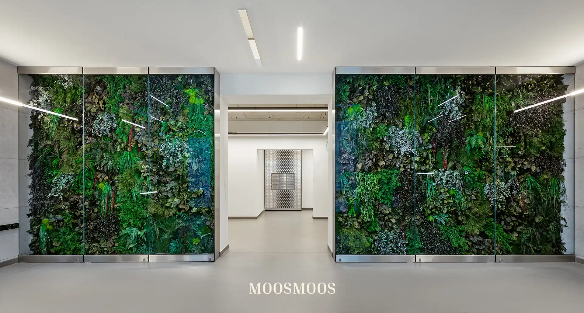 MoosMoos Raumteiler und Trennwände aus Moos und Pflanzen 