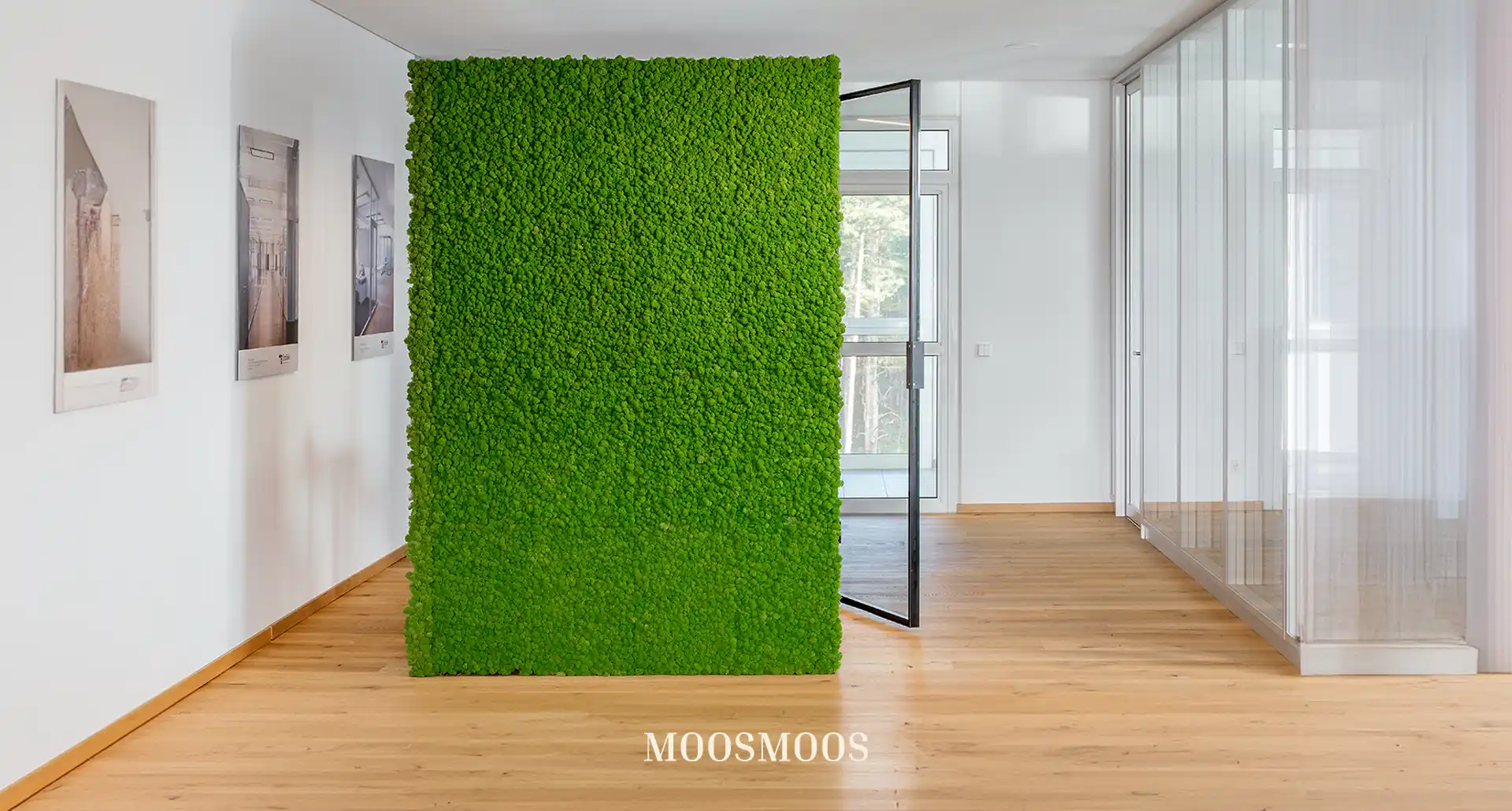 MoosMoos Raumteiler und Trennwände aus Moos und Pflanzen 