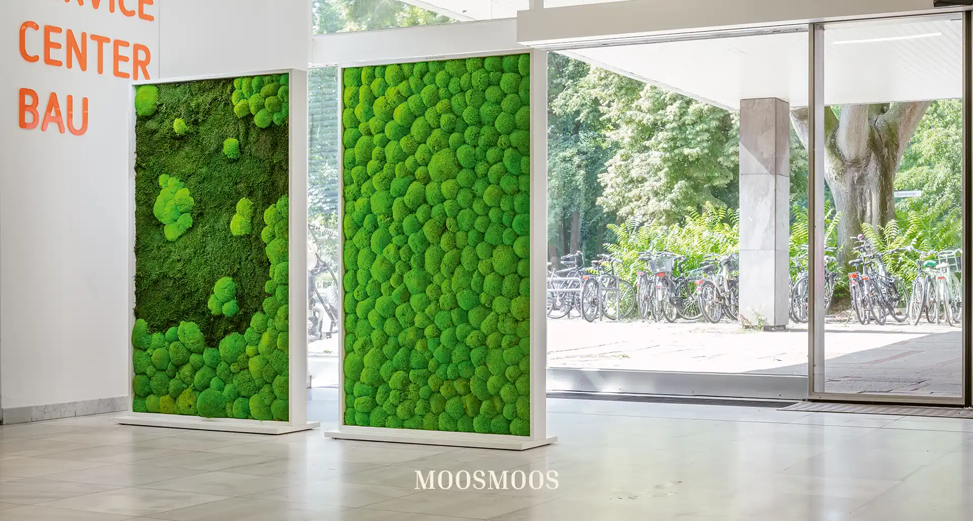 MoosMoos Raumteiler und Trennwände aus Moos und Pflanzen 