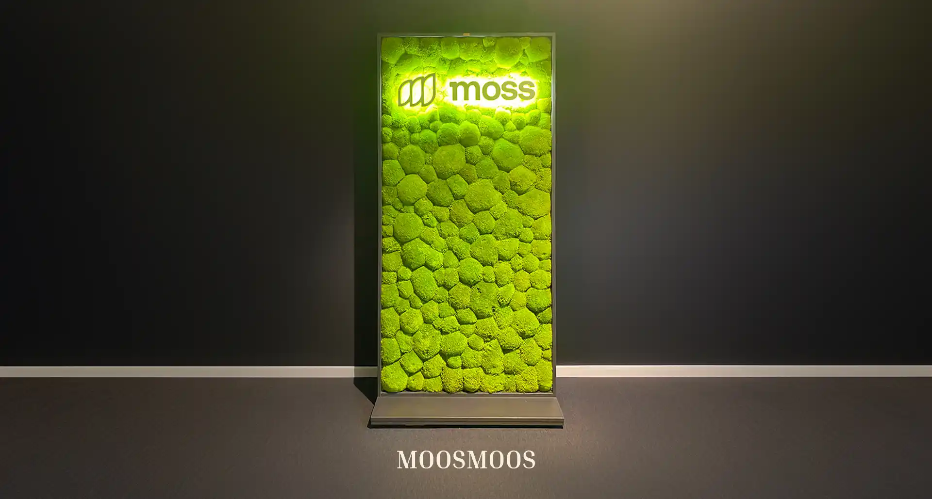 MoosMoos Raumteiler und Trennwände aus Moos und Pflanzen 