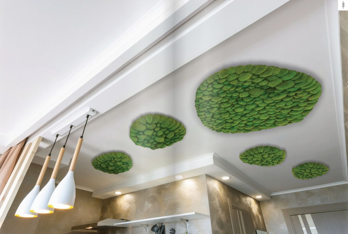 5 runde Moosbilder aus wiesengrünem Ballenmoos hängend an einer Küchendecke