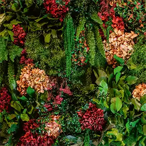 Blumen/
Pflanzen/
Moos/
Premium