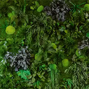 Dschungelmoos/
Pflanze/
Premium