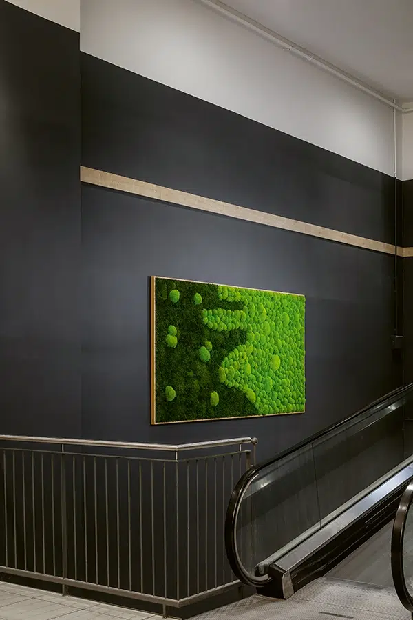MoosMoos Wand aus Moos als auffälliges Bild im Einkaufszentrum, natürliche Begrünung für Innenräume.
