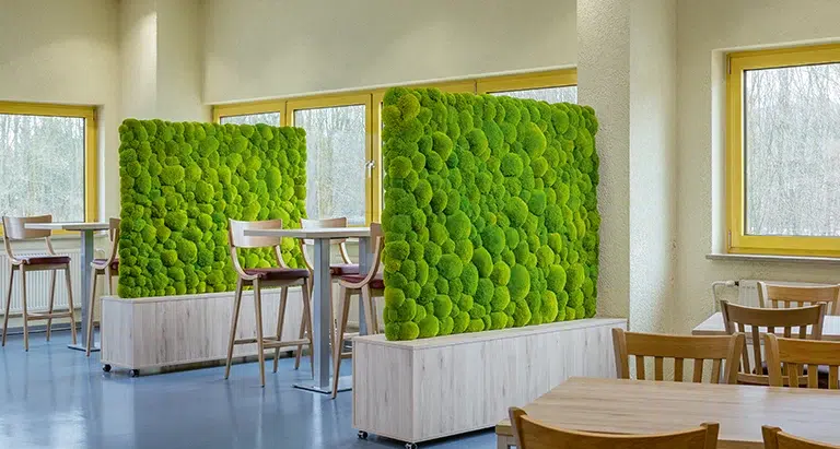 MoosMoos Trennwände als grüne Wand aus Moos für natürliche Atmosphäre in einer Kantine