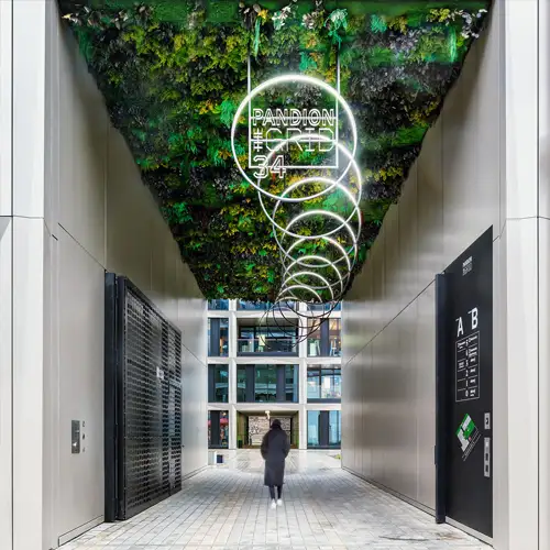 MOOSMOOS Moosdecke aus der Manufaktur - Spektakuläre Deckenbegrünung im Korridor mit 60% Schallabsorbierung