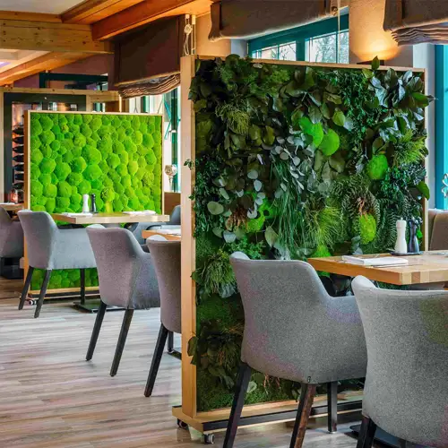 MOOSMOOS Raumteiler und Trennwände aus Moos - Pflegefreie Raumgestaltung für Restaurant mit Schallabsorbierung