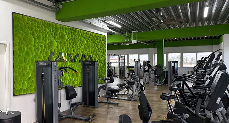 Leuchtend grüne Mooswand im Fitnessstudio für gesundes Raumklima und Longevity-Effekt